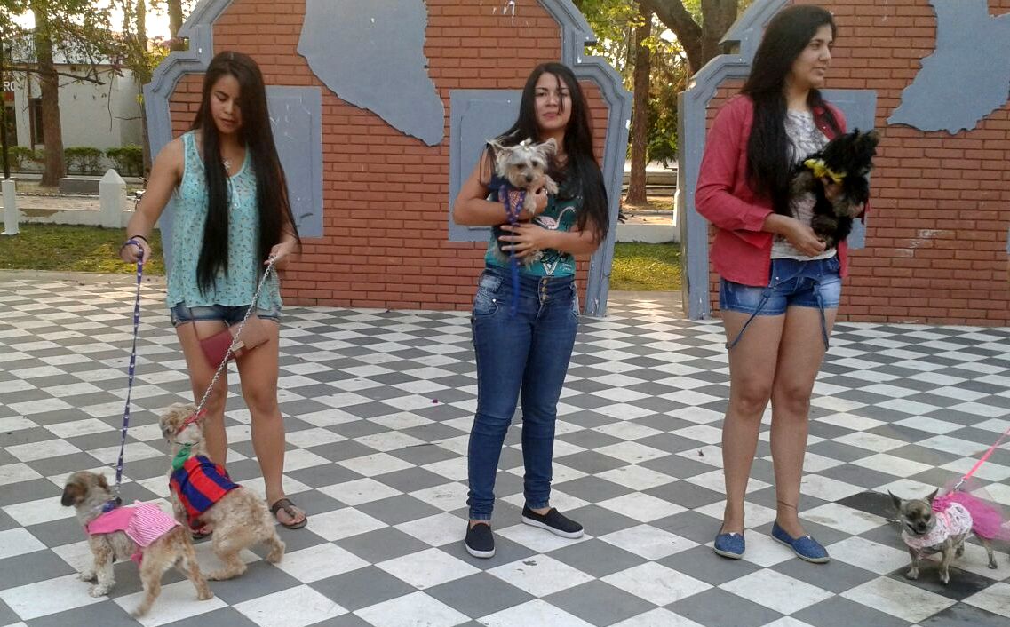Mascotas desfilan y se protegen contra la rabia en Pilar
