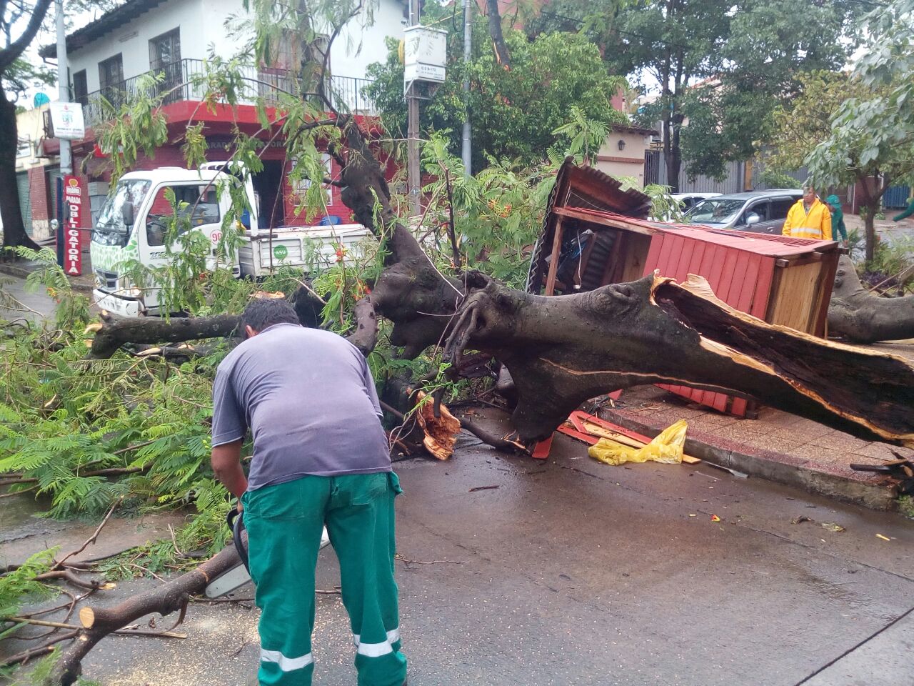 Más de 25 árboles caídos en la Capital tras temporal