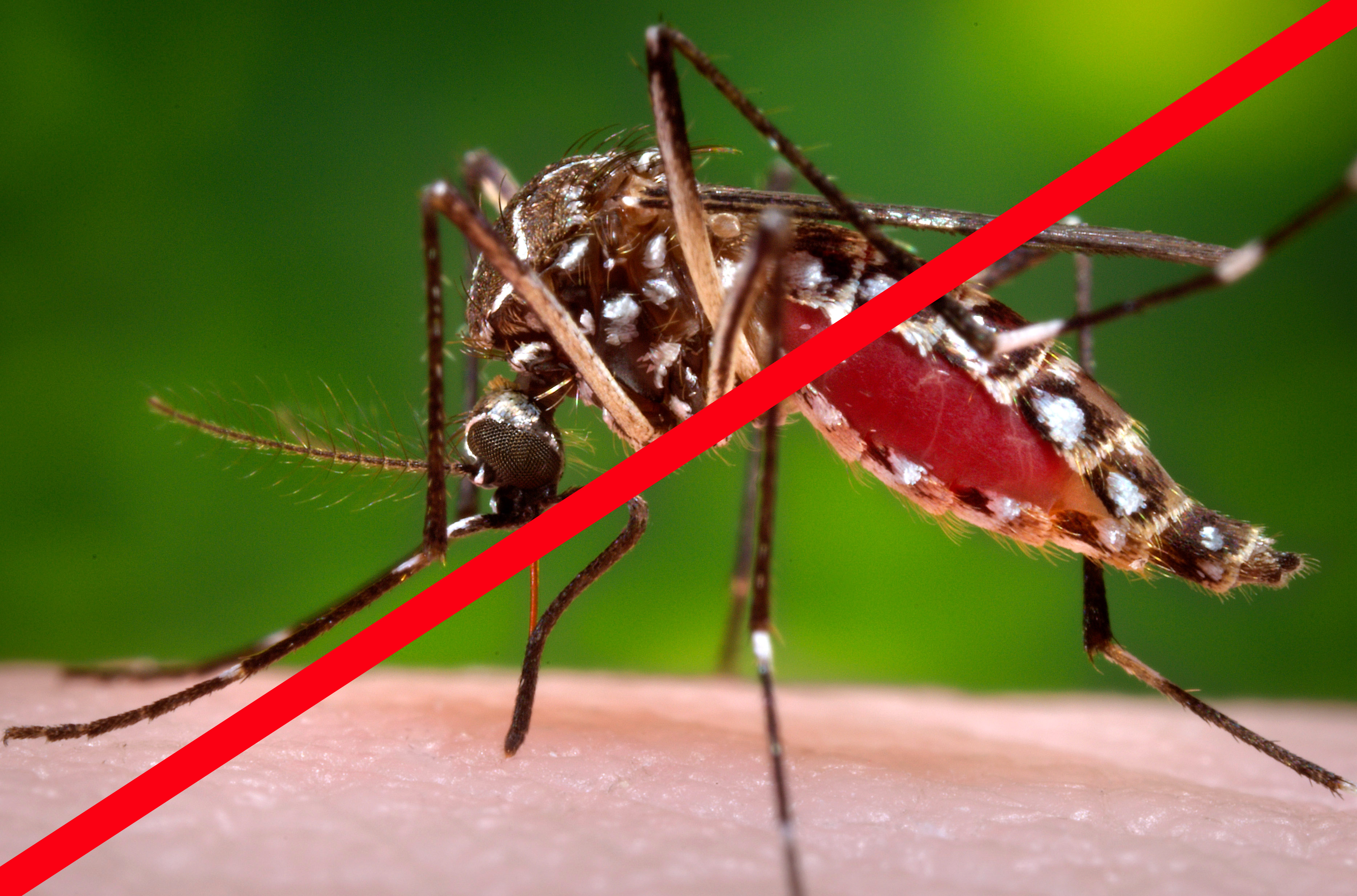 Zika: Lanzarán la campaña “Embojere”