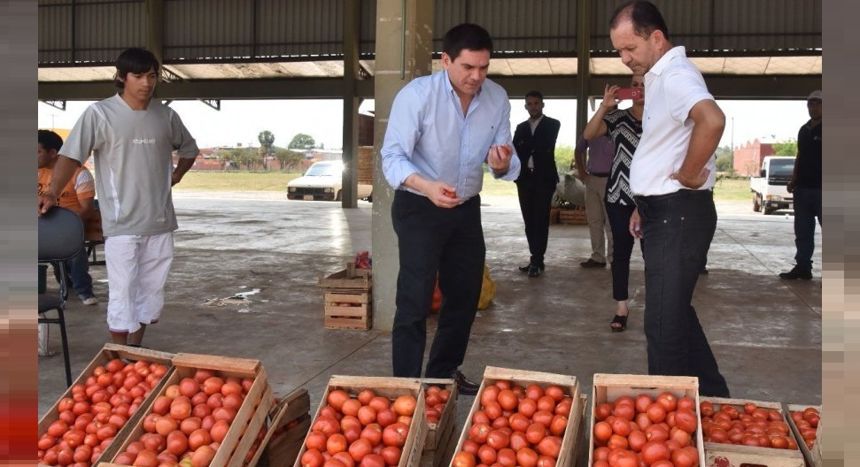 MAG asegura haber cortado importación de tomates