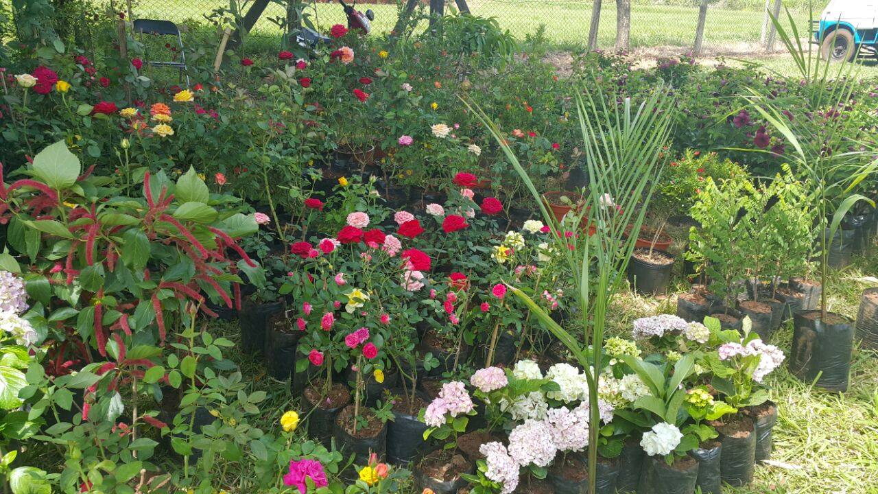 Feria de Orquídeas y Plantas Ornamentales en Centro Florícola