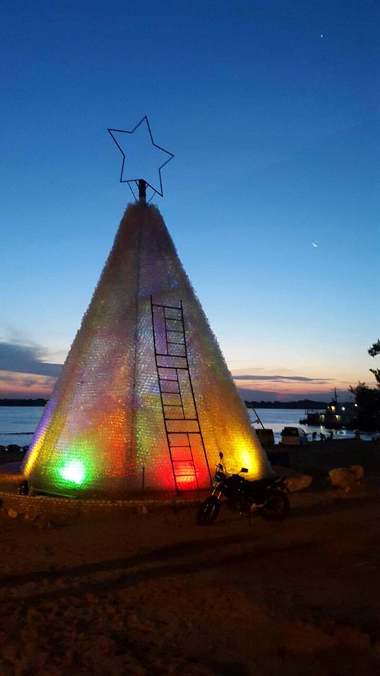 El árbol de Navidad más alto del país en Villa Elisa