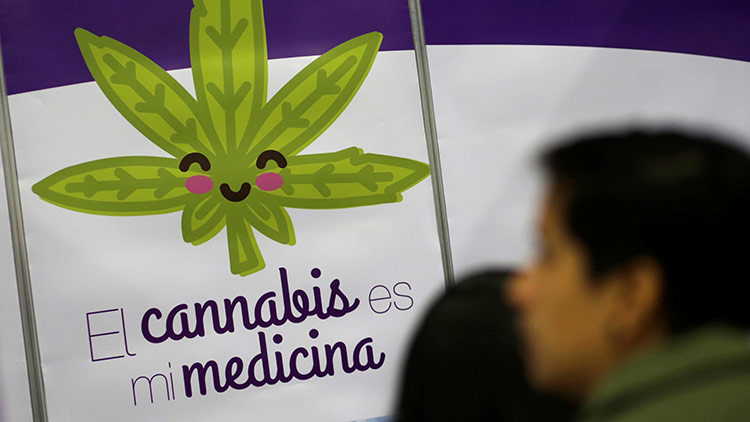 El Senado mexicano aprueba uso medicinal de la marihuana