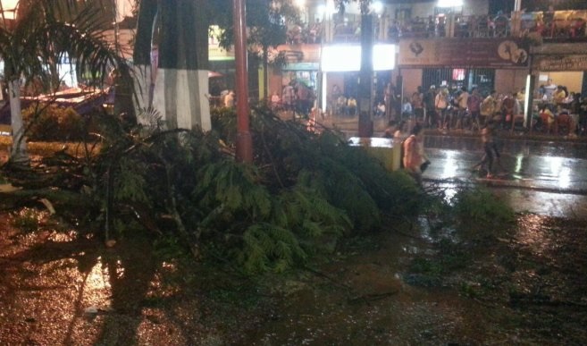 Mujer herida con una rama se halla fuera de peligro