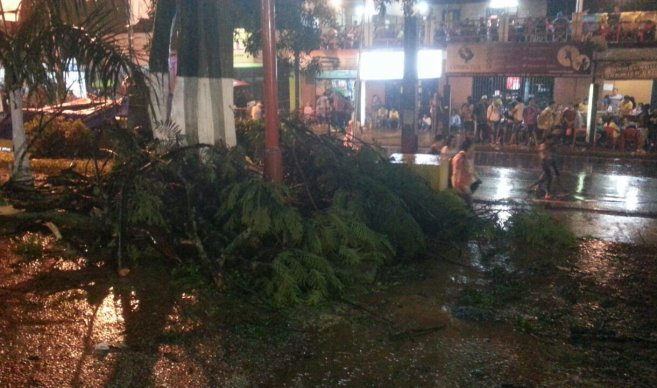 Árbol cayó sobre peregrina en plaza de Caacupé