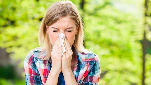 Cuáles son las alergias más comunes en verano