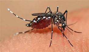 Clínicas descarta caso de dengue hemorrágico, de momento