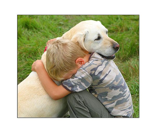 ¿Por qué perder a un perro puede ser tan duro como la pérdida de un familiar?