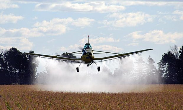 “Semana Sin Plaguicidas”: Instan al cese de utilización de agrotóxicos