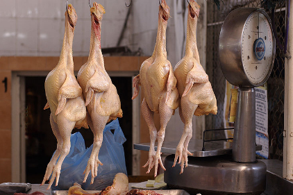 Temen que pollos en mal estado sean introducidos de contrabando por Ciudad del Este