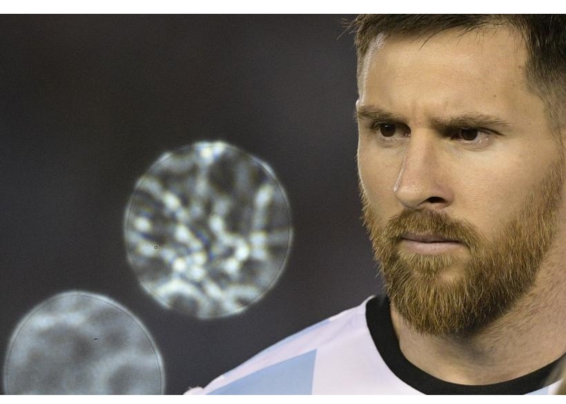 Si Messi asiste a una audiencia en Zúrich, la FIFA le rebajará la suspensión a la mitad