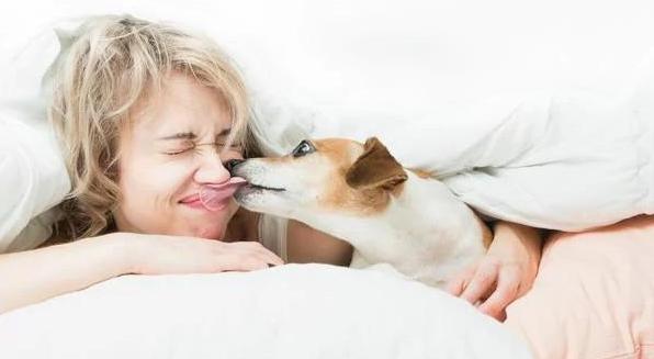 Qué tan peligroso es dejar que un perro te dé besos