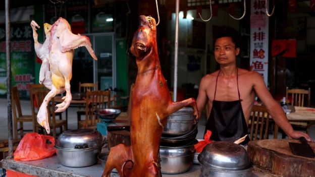 ¿Cancelarán el polémico festival de la carne de perro en China?