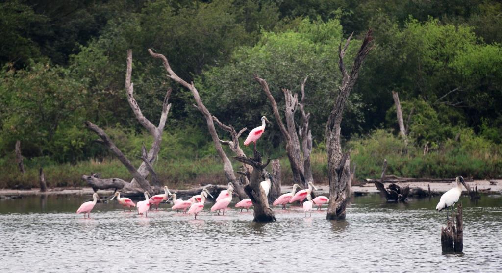 Realzarán riqueza natural del Chaco para el turismo