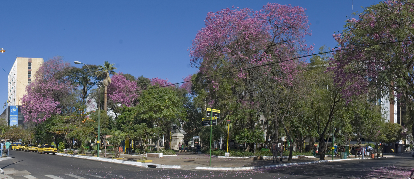 Fin de semana cálido y sin lluvias