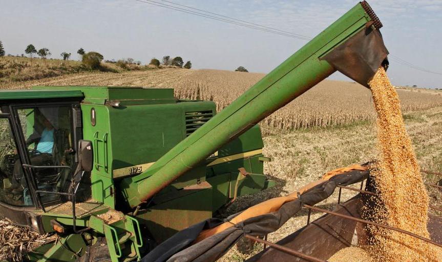 “Será un daño bastante fuerte para el productor mediano y pequeño, si se da el impuesto”