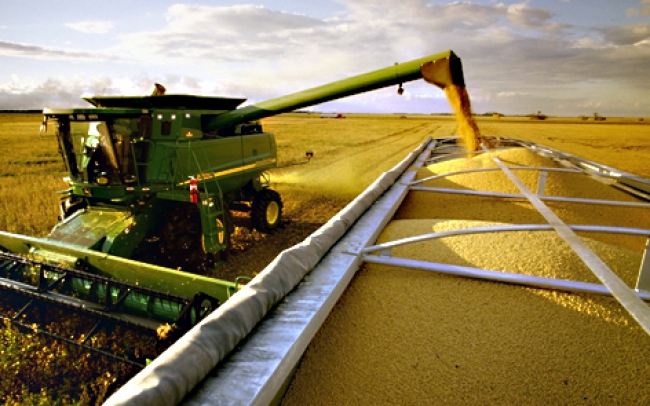 Gremios de producción rechazan impuesto a soja