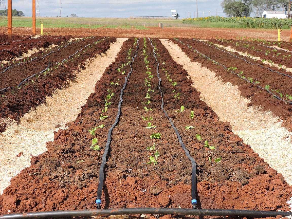 Capacitación para productores en Itapúa