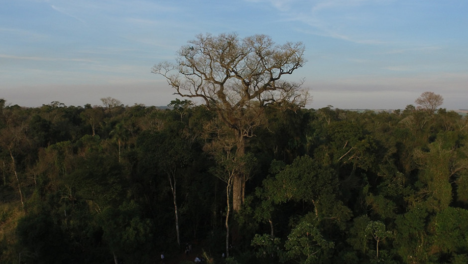 Siguen abiertas las inscripciones para el Concurso “Colosos de la Tierra”