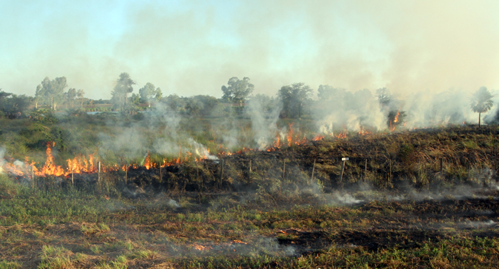 Controlan incendio de pastizal en María Auxiliadora, Itapúa