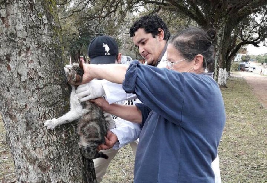 Misiones: Vacunan a más de 2 mil animales contra la rabia