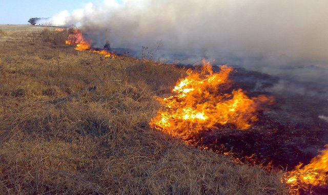 Buscan reducir cantidad de siniestros en campos con “Teledetección de Incendios”