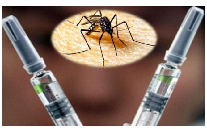 “Por falta de evidencia de efectividad”, recomiendan a Salud Pública no incluir vacuna antidengue en esquema nacional