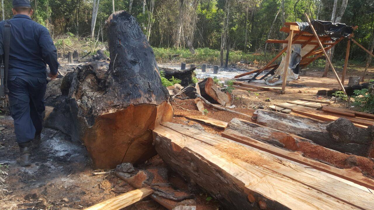 Imputan y piden prisión de 16 personas por deforestación