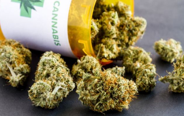 Marihuana clandestina no es es igual al cannabis medicinal, según doctor