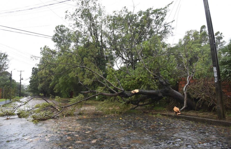 Miles de usuarios quedaron sin energía eléctrica a raíz del temporal