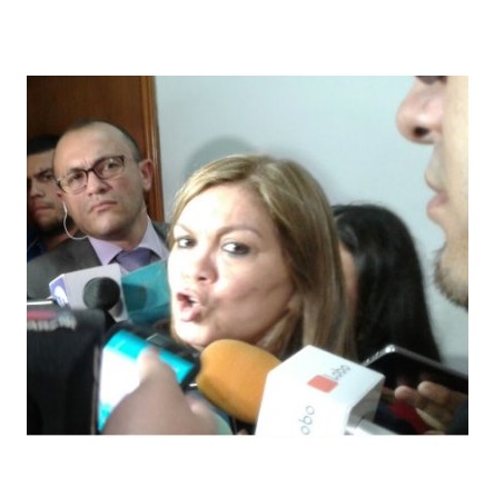 ¿Qué hizo para que lo imputen por asociación criminal?, cuestiona abogada de González Daher