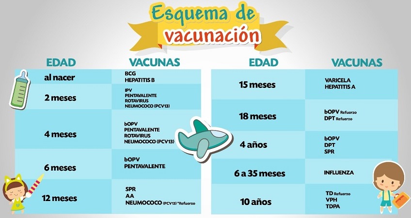 Vacunas del esquema nacional testadas y precalificadas por la OPS/OMS