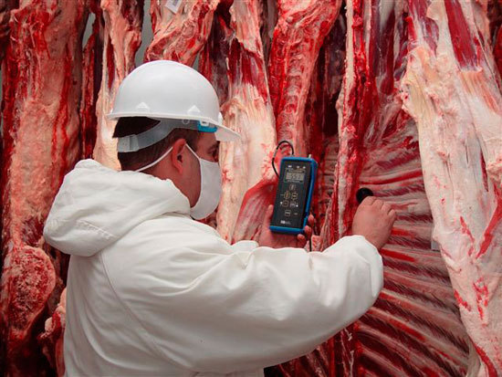 Cuatro frigoríficos fueron suspendidos para exportar carne a Chile