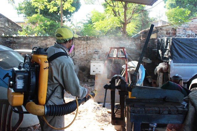 Emiten recomendaciones para evitar dispersión de casos de dengue en Semana Santa