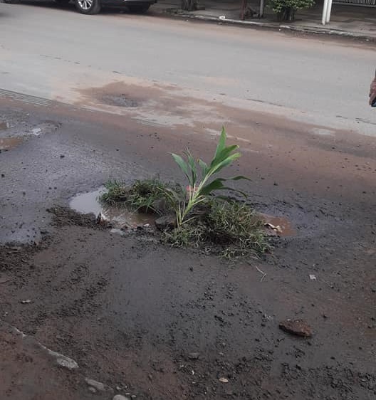 Comerciantes “adornan” baches en San Lorenzo cansados por inacción de la municipalidad