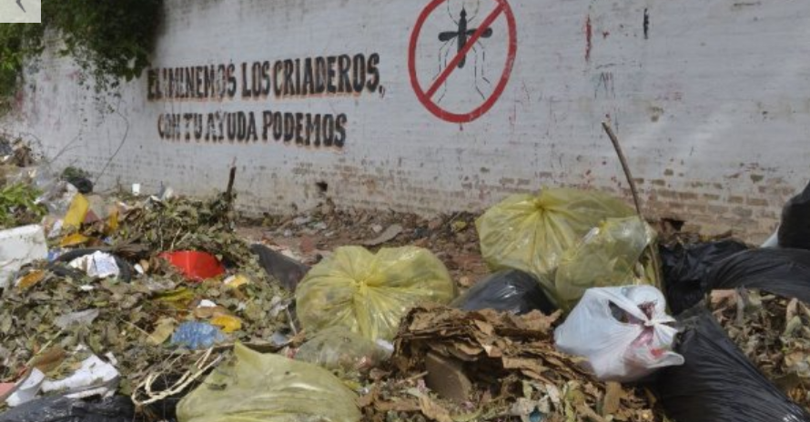Dengue: La gente que mezquina su basura