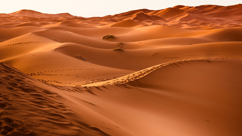 El desierto de Sahara se agrandó un 10% en los últimos 100 años