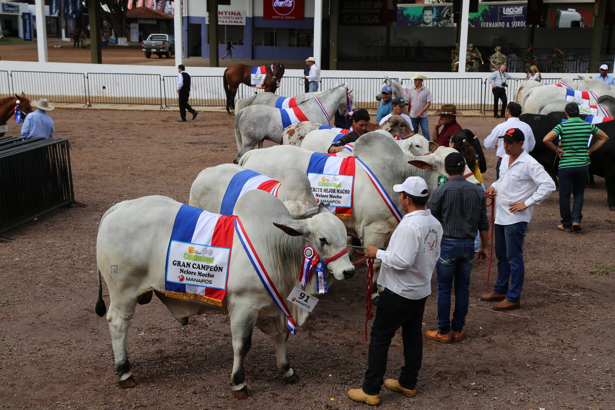 Este fin de semana culmina la 20ª Expo Canindeyú