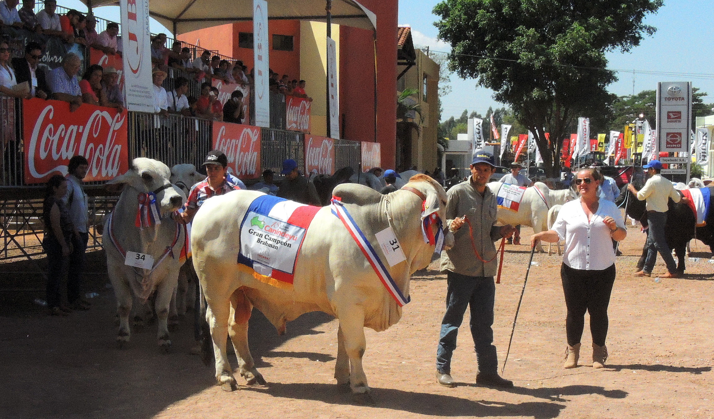 Mañana comienza la Expo 2018