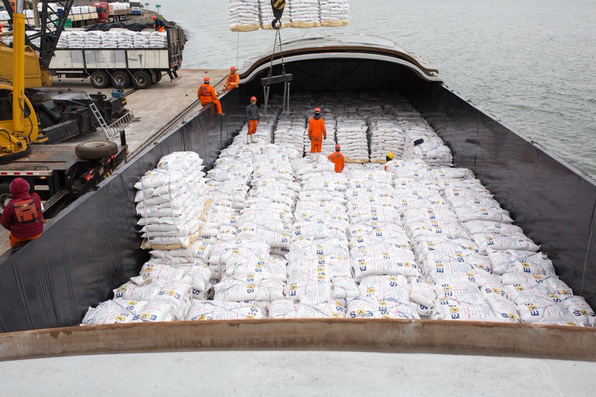 Paraguay comenzó a exportar arroz a Irak