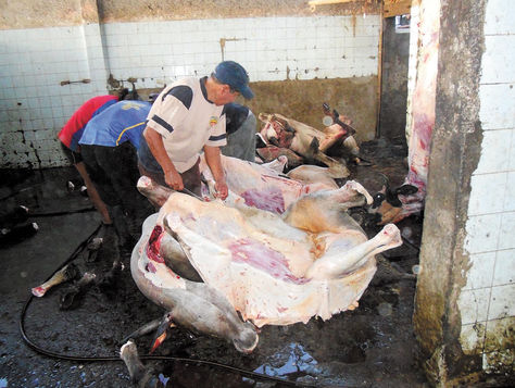 Carne debe proceder de mataderos habilitados, advierte SENACSA