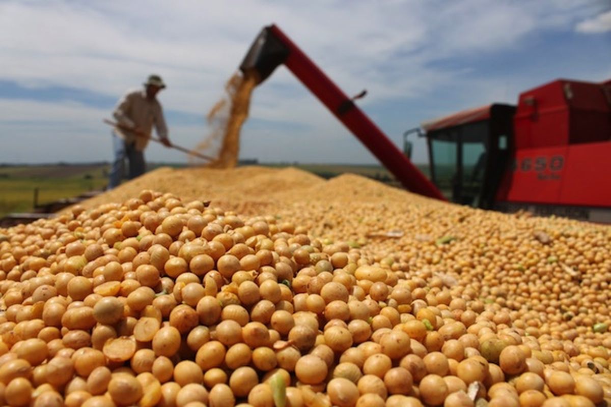 Gobierno evalúa reforma tributaria con enfoque en productores agrícolas y pecuarios
