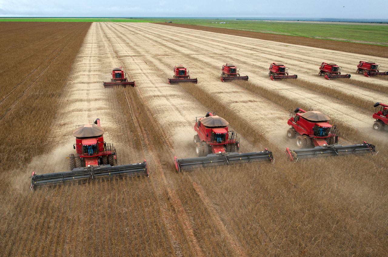 Productores afirman que incremento de impuesto a la soja provocará monopolio de multinacionales