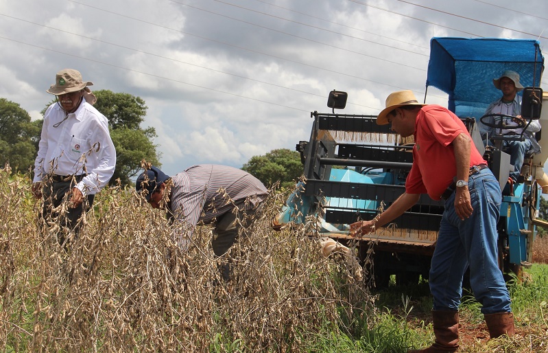 Gremios afirman que incremento del impuesto a la soja pagarán productores, no exportadores