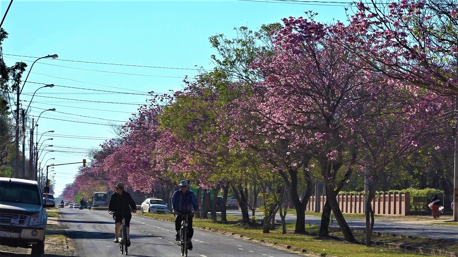 Anuncian lunes cálido y sin lluvias