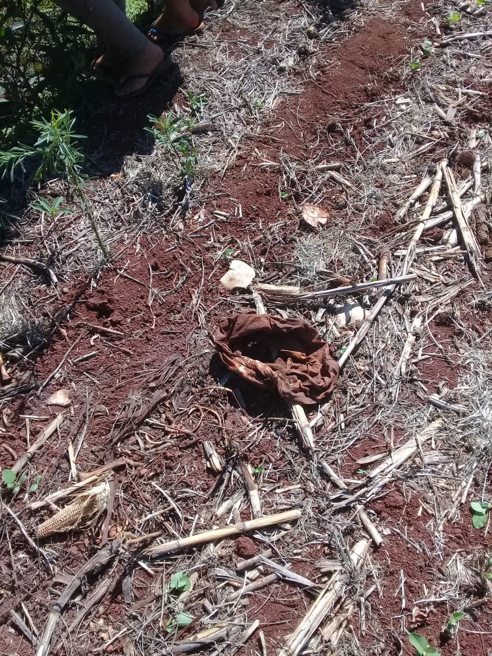 Encontraron presuntos restos de Mía Soledad y su niñera, desaparecidas hace semanas