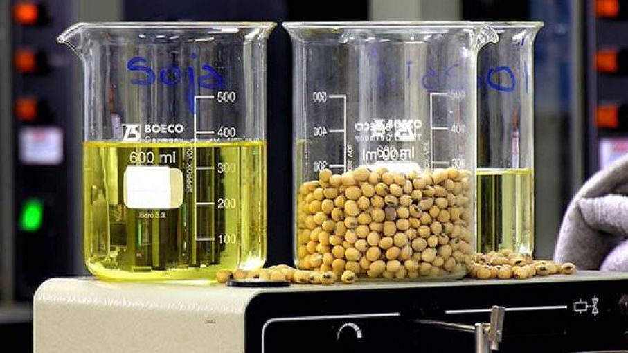 Biocombustible sería producido en base a aceite de soja