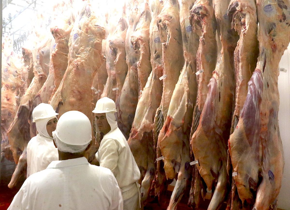 Carne sufre caída de valores a causa de contexto regional