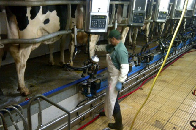 Alimentación escolar inyecta cerca de USD 20 millones a productores lácteos
