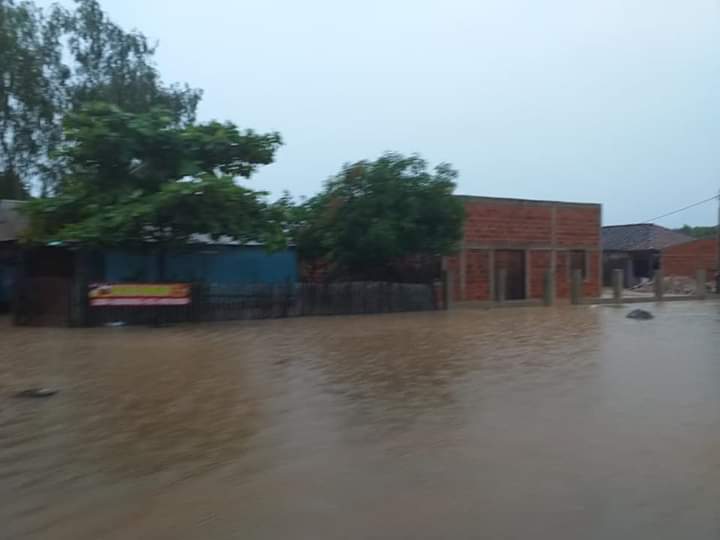 Centenares de damnificados y perjuicios en cultivos tras fuertes lluvias en ex Puentesiño